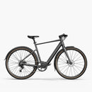 Fiido C21 E-Gravel & Miejski E-Rower
