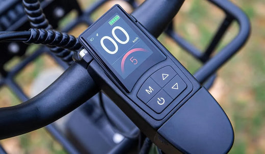 Na zdjęciu pokazany jest rower elektryczny Fiido.