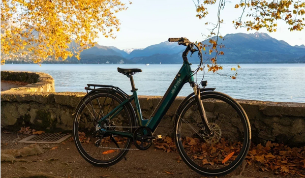 Rama roweru elektrycznego: aluminium, stal, karbon czy tytan