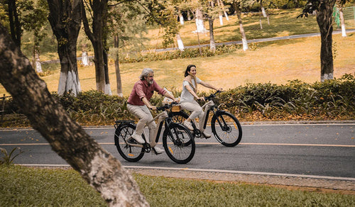 Jak wybrać elektryczny rower trekkingowy