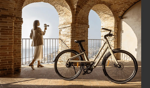 fiido nomads ebike