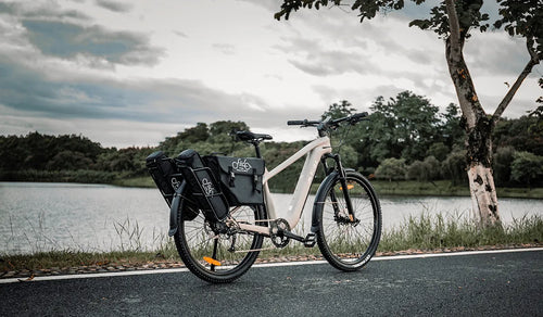 Rower elektryczny Fiido Nomads zaparkowany nad jeziorem