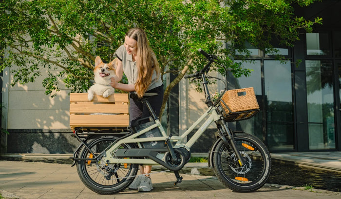 Elektryczny rower cargo Fiido T3 przewożący zwierzę domowe