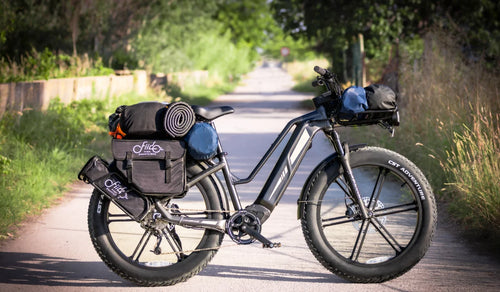 Rower elektryczny Fiido Titan z oponami fatbike na długie dystanse