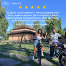 Fiido T2 Elektryczny rower cargo typu longtail Fatbike