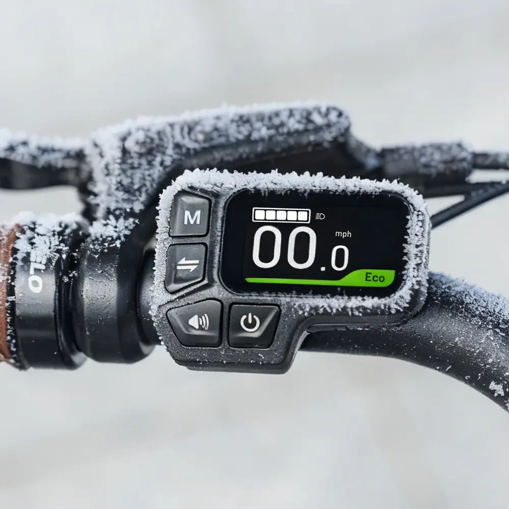 Fiido C11 Pro Lekki Rower Elektryczny Miejski