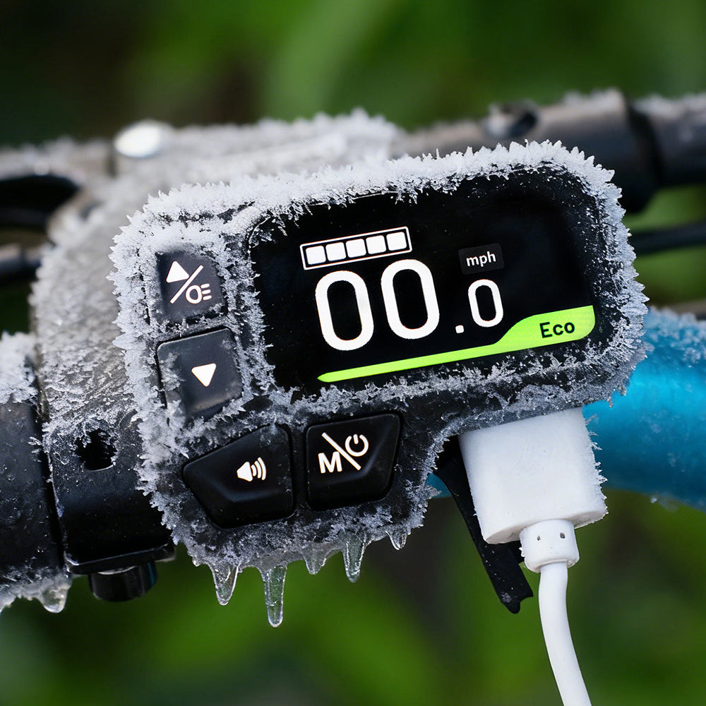 Fiido M1 Pro Elektryczny rower na Fatbike