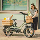 Fiido T3 miejski rodzinny rower cargo elektryczny