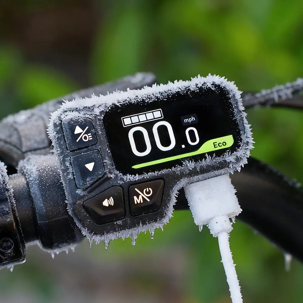 Fiido D11 Składany Rower Elektryczny