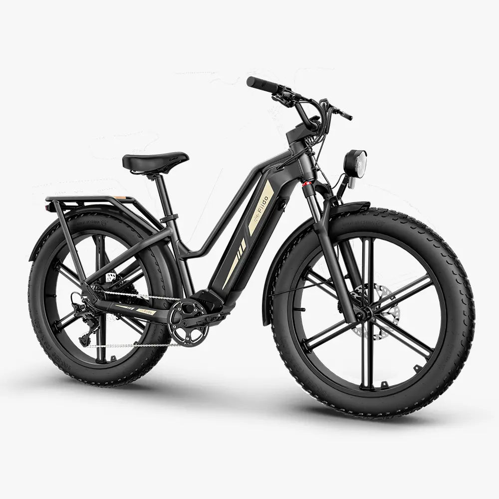 Titan Fat Tire Touring Ebike - Długi zasięg