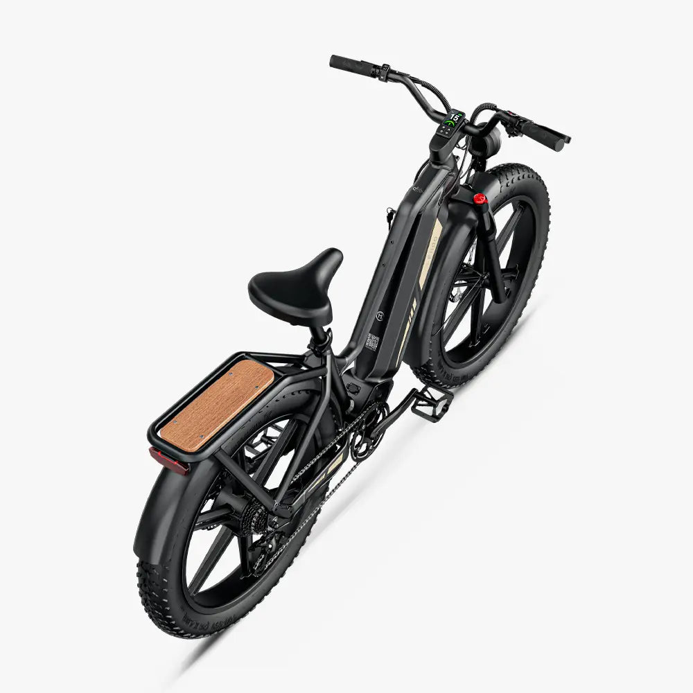 Titan Fat Tire Touring Ebike - Długi zasięg