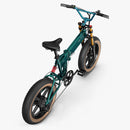 Fiido M1 Pro Elektryczny rower na Fatbike