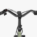 Fiido T3 miejski rodzinny rower cargo elektryczny