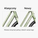 Fiido C700 Miejski Rower Elektryczny