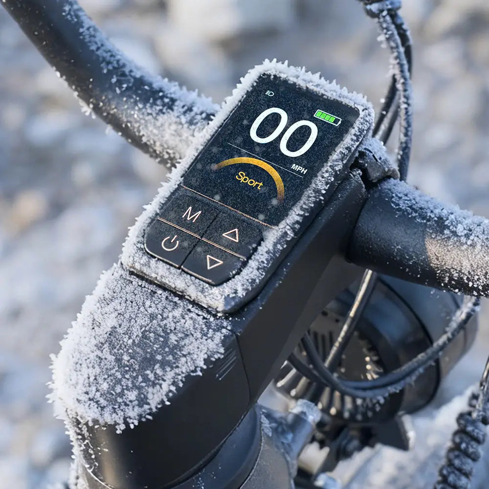 Titan Fat Tire Touring Ebike - Długi zasięg