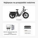 Fiido T2 Elektryczny rower cargo typu longtail Fatbike