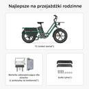 Fiido T2 Elektryczny rower cargo typu longtail Fatbike