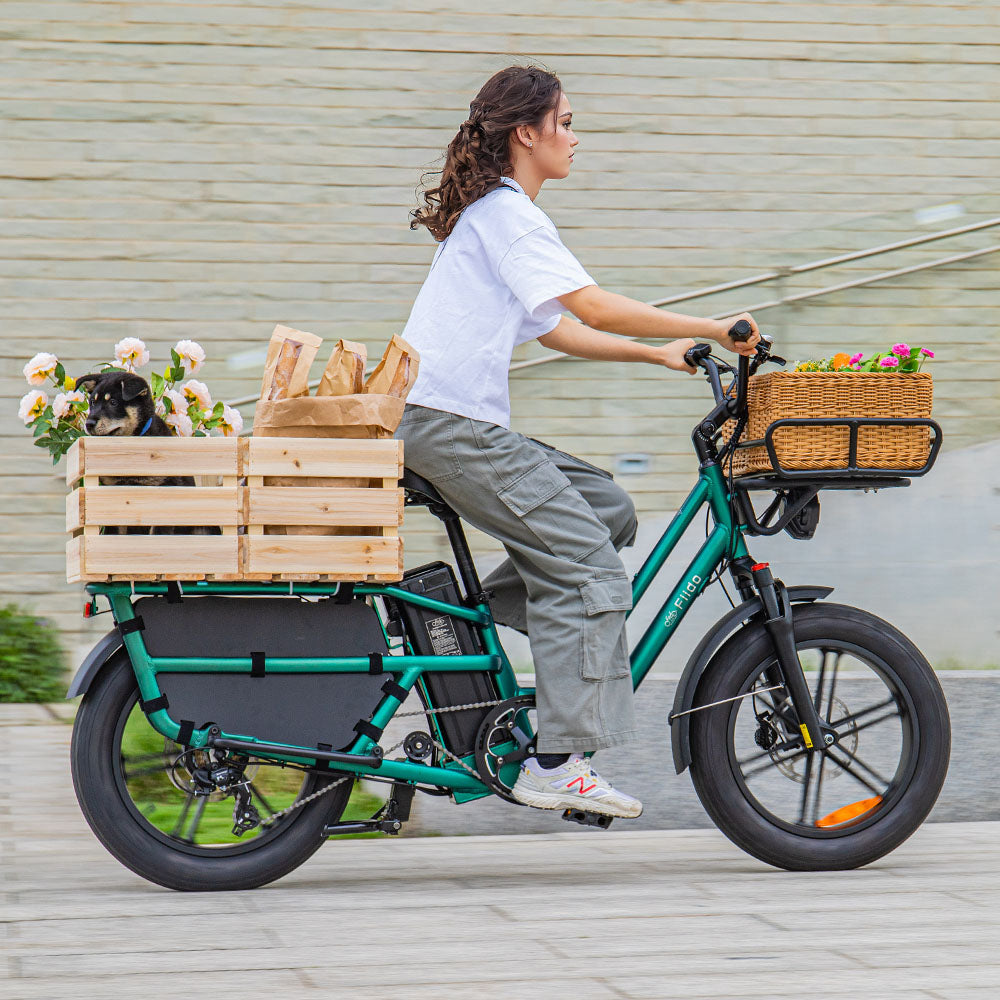 Best longtail cargo bike on sale