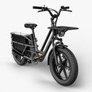 Fiido T2 Long Tail Cargo Electric Bike Black Front View
